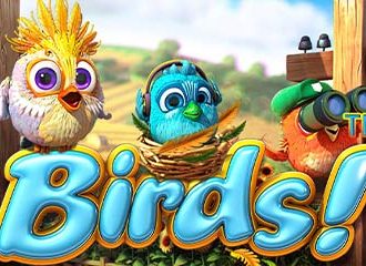 Birds